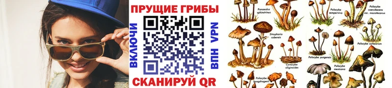 сколько стоит  Иваново  Галлюциногенные грибы мухоморы 