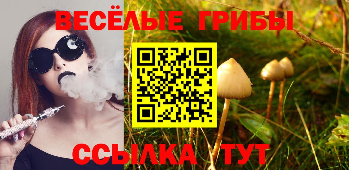 продажа наркотиков  Псилоцибиновые грибы мицелий  Вход с VPN  Иваново  Галлюциногенные грибы ЛСД 
